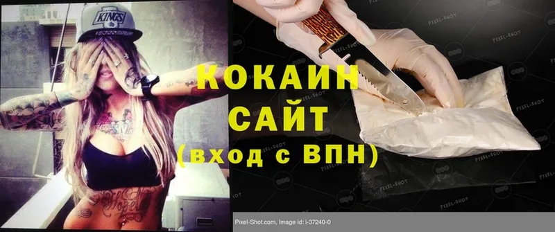 Cocaine FishScale  купить наркотики цена  Сорск 